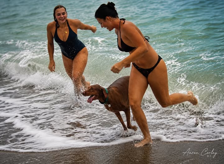 Two women running through the surf with a dog