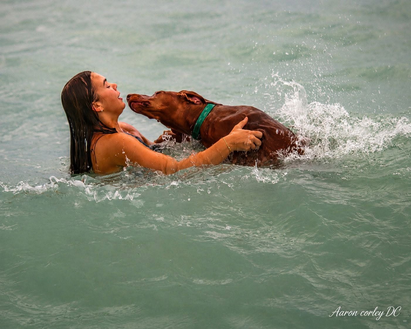 Woman holding a dog while playing in ocean waves